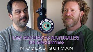 Agenda Económica - Nicolás Gutman / Los recursos naturales en Argentina